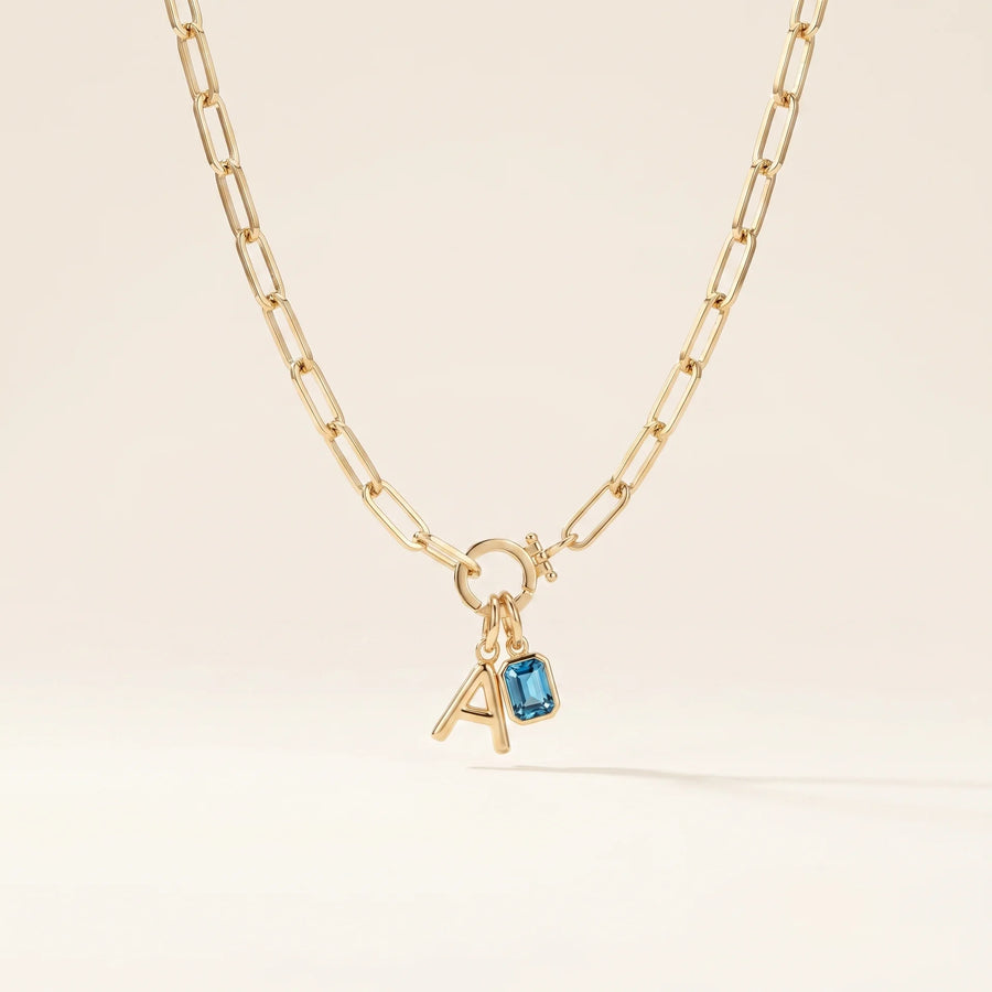 Initial & Birthstone Paperclip Necklace
